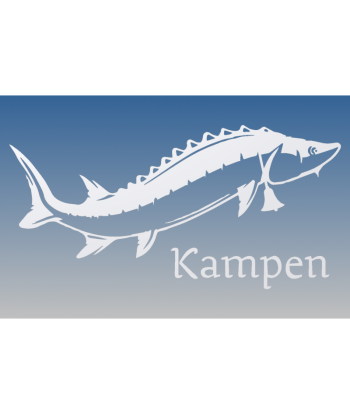 Kampersteur Recht met tekst (H: 20.9cm x B: 42cm)
